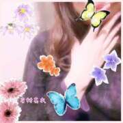 ヒメ日記 2024/12/22 11:40 投稿 有村真衣 五十路マダム姫路店