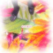 ヒメ日記 2025/10/26 10:44 投稿 有村真衣 五十路マダム姫路店