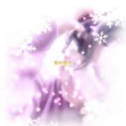 ヒメ日記 2025/12/29 11:34 投稿 有村真衣 五十路マダム姫路店