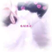 ヒメ日記 2026/03/09 19:16 投稿 有村真衣 五十路マダム姫路店