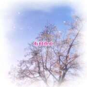 ヒメ日記 2026/03/30 21:58 投稿 有村真衣 五十路マダム姫路店