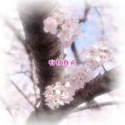 ヒメ日記 2026/04/05 08:18 投稿 有村真衣 五十路マダム姫路店