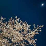 ☆リリ☆ド素人！情熱ハーフ美女 ぅとぅと🥱 プロポーション オキナワ