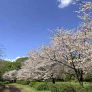ヒメ日記 2026/04/04 12:37 投稿 りこ クンニ専門店 おクンニ学園 池袋校