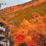 五十嵐せな 幸せのお裾分け🍁 奴隷志願！変態調教飼育クラブ梅田店