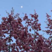 ヒメ日記 2025/03/08 11:51 投稿 五十嵐せな 奴隷志願！変態調教飼育クラブ梅田店