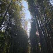 ヒメ日記 2025/06/30 22:13 投稿 五十嵐せな 奴隷志願！変態調教飼育クラブ梅田店