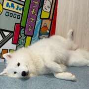 ヒメ日記 2025/10/10 10:18 投稿 五十嵐せな 奴隷志願！変態調教飼育クラブ梅田店