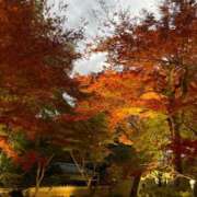 ヒメ日記 2025/11/28 10:23 投稿 五十嵐せな 奴隷志願！変態調教飼育クラブ梅田店