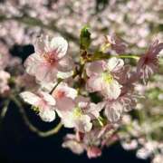 ヒメ日記 2026/03/13 11:19 投稿 五十嵐せな 奴隷志願！変態調教飼育クラブ梅田店