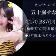 ヒメ日記 2026/04/01 14:20 投稿 五十嵐せな 奴隷志願！変態調教飼育クラブ梅田店