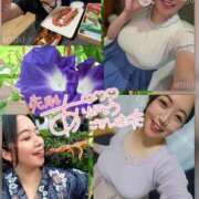 ヒメ日記 2026/08/08 16:02 投稿 美帆 鶯谷人妻城