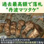 ヒメ日記 2026/09/29 12:44 投稿 美帆 鶯谷人妻城