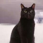 ヒメ日記 2025/02/22 08:50 投稿 吉木アン ローテンブルク