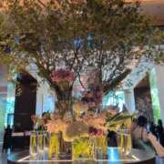 ヒメ日記 2025/06/28 20:26 投稿 吉木アン ローテンブルク