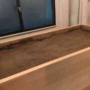 ヒメ日記 2025/11/29 12:24 投稿 吉木アン ローテンブルク