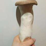 ヒメ日記 2025/12/05 18:08 投稿 吉木アン ローテンブルク