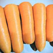 ヒメ日記 2026/02/16 08:14 投稿 吉木アン ローテンブルク