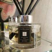 ヒメ日記 2026/03/26 19:56 投稿 吉木アン ローテンブルク