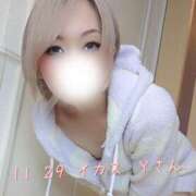 ヒメ日記 2025/11/29 23:03 投稿 涼宮(すずみや) 八王子人妻城