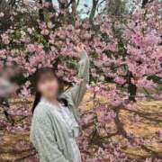 こころ 🌸パリス最終日。想いを綴る マリン土浦本店