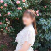 こころ 《チューリップ🌷さんに居ます》 マリン土浦本店