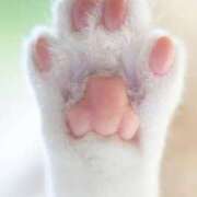 ヒメ日記 2025/05/29 20:36 投稿 古川店　メイ 人妻生レンタル-石巻-