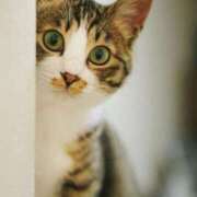 ヒメ日記 2025/06/28 07:16 投稿 古川店　メイ 人妻生レンタル-石巻-