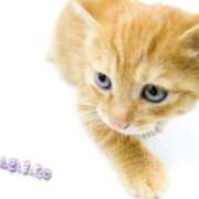 ヒメ日記 2025/06/29 15:46 投稿 古川店　メイ 人妻生レンタル-石巻-