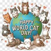 ヒメ日記 2025/08/08 16:36 投稿 古川店　メイ 人妻生レンタル-石巻-