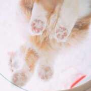 ヒメ日記 2025/08/25 10:26 投稿 古川店　メイ 人妻生レンタル-石巻-