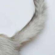 ヒメ日記 2025/09/15 15:46 投稿 古川店　メイ 人妻生レンタル-石巻-