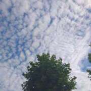 ヒメ日記 2025/09/19 15:46 投稿 古川店　メイ 人妻生レンタル-石巻-