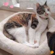 ヒメ日記 2025/09/23 13:33 投稿 古川店　メイ 人妻生レンタル-石巻-