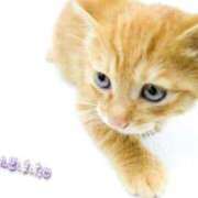 ヒメ日記 2025/10/05 14:36 投稿 古川店　メイ 人妻生レンタル-石巻-