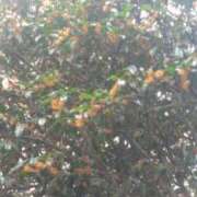 ヒメ日記 2025/10/09 18:46 投稿 古川店　メイ 人妻生レンタル-石巻-