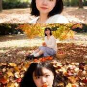 ヒメ日記 2025/11/06 19:55 投稿 いぶき IRIS(岐阜)