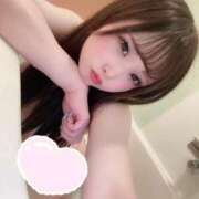 ヒメ日記 2025/04/15 08:42 投稿 あむ 若葉