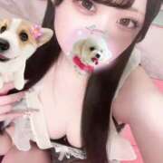 ヒメ日記 2025/08/30 08:15 投稿 あむ 若葉