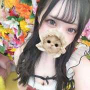 ヒメ日記 2025/11/16 08:05 投稿 あむ 若葉