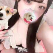 ヒメ日記 2025/11/23 08:15 投稿 あむ 若葉