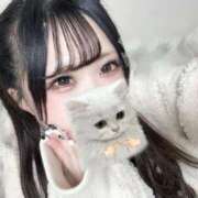 ヒメ日記 2025/11/25 07:45 投稿 あむ 若葉