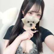 ヒメ日記 2025/11/28 07:36 投稿 あむ 若葉