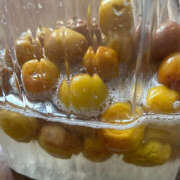 いちご つぎ！ 横浜ハッピーマットパラダイス