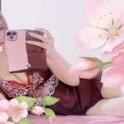 ヒメ日記 2025/02/25 12:41 投稿 つゆ ビギナーズ和歌山