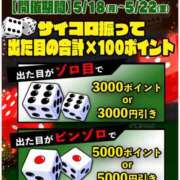 ヒメ日記 2026/05/21 04:21 投稿 つゆ ビギナーズ和歌山
