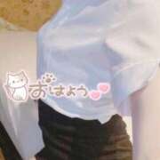 ヒメ日記 2026/02/06 20:47 投稿 天城　りんね ナディア名古屋店