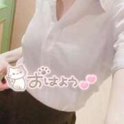 天城　りんね 出勤とお知らせ💡 ナディア名古屋店
