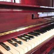 大園　はるか お礼や返信🧸💌 人妻の秘密