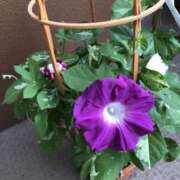 ヒメ日記 2025/08/08 21:31 投稿 さつき 成田人妻講座